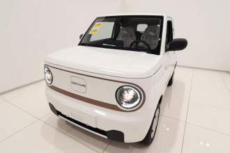 吉利银河 2024款 熊猫mini 200km 耐力熊