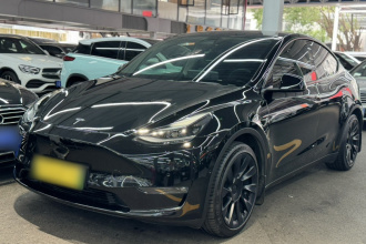 特斯拉 Model Y 2021款 标准续航后驱版