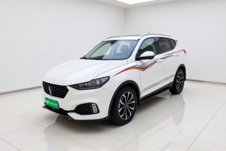 魏牌 VV6 2020款 2.0T 两驱智享+