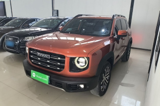 哈弗大狗 2021款 1.5T DCT两驱边牧版