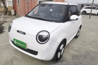 长安启源 长安Lumin 2022款 301km 蜜甜款