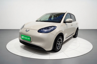 五菱汽车 五菱缤果 2023款 333km 悦享+款