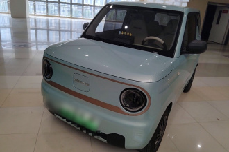 吉利银河 2024款 熊猫mini 200km 耐力熊