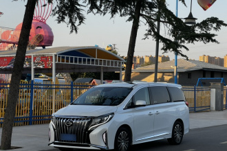 广汽传祺 传祺M8 2021款 领秀系列 390T 尊贵版