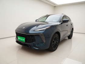 东风风行 风行T5 EVO 2021款 1.5TD DCT钻石版