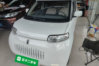 欧拉白猫 2020款 305km 豪华型