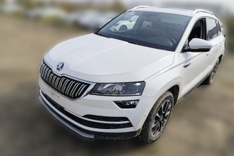 斯柯达 柯珞克 2019款 TSI280 智行优享版 国VI