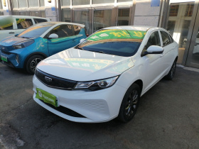 吉利汽车 帝豪新能源 2021款 EV Pro 畅行版