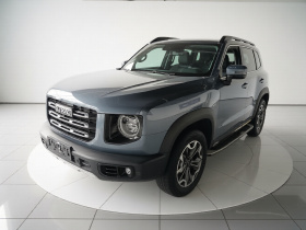 哈弗大狗 2021款 2.0T DCT四驱中华田园犬版