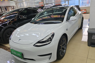 特斯拉 Model 3 2019款 标准续航后驱升级版