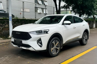 哈弗F7x 2019款 2.0T 两驱极智科技版