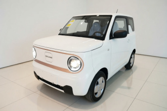 吉利银河 2024款 熊猫mini 200km 耐力熊