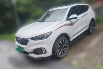 魏牌 VV6 2020款 2.0T 两驱智享+