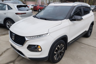 宝骏510 2019款 1.5L 自动优享型 国V