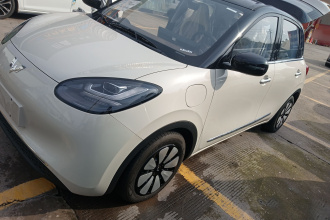 五菱汽车 五菱缤果 2024款 333km 悦享款