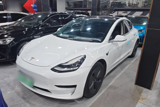 特斯拉 Model 3 2020款 标准续航后驱升级版