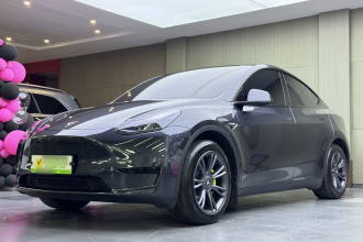 特斯拉 Model Y 2024款 后轮驱动版