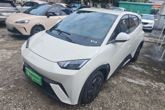 比亚迪 海鸥 2024款 荣耀版 305km 活力版