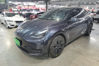 特斯拉 Model Y 2024款 后轮驱动版