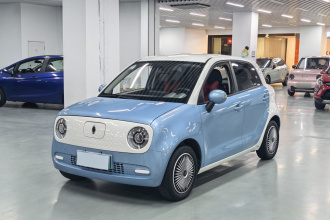 欧拉黑猫 2022款 301km 基础型 三元锂