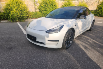 特斯拉 Model 3 2019款 标准续航后驱升级版