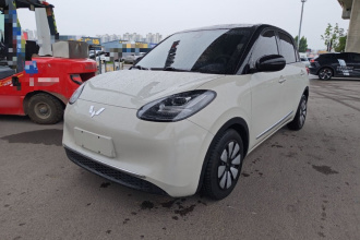 五菱汽车 五菱缤果 2023款 203km 舒享款