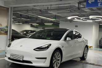 特斯拉 Model 3(进口) 2019款 长续航后驱版