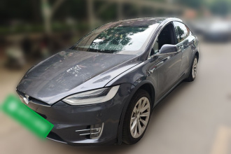 特斯拉 Model X 2019款 长续航版