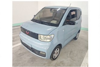 五菱汽车 宏光MINIEV 2020款 自在款 磷酸铁锂