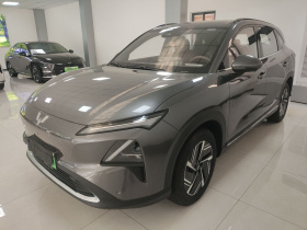 五菱汽车 五菱星光S 2024款 130km 旗舰型