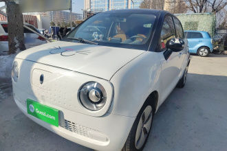 欧拉黑猫 2019款 310km 灵趣版