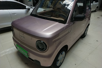 吉利银河 2023款 熊猫mini 200km 耐力熊