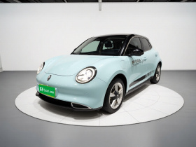 欧拉好猫 2021款 400km标准续航 维纳斯版 磷酸铁锂