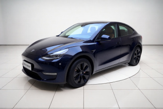 特斯拉 Model Y 2023款 长续航全轮驱动版