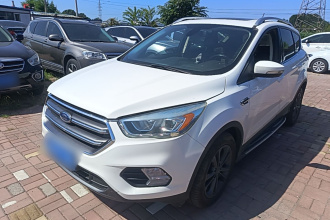 福特 翼虎 2019款 EcoBoost 180 两驱铂翼型 国VI