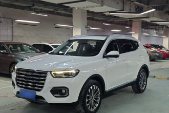 哈弗H6 2020款 1.5GDIT 自动铂金豪华版