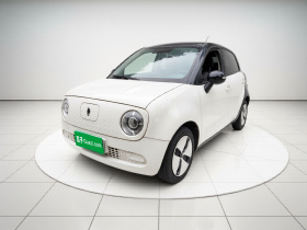 欧拉黑猫 2019款 301km 标准版