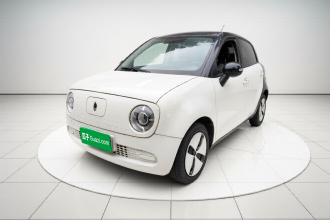 欧拉黑猫 2019款 301km 标准版