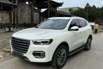 哈弗H6 2020款 2.0GDIT 自动铂金冠军版