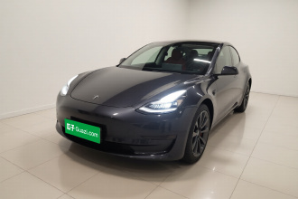 特斯拉 Model 3 2020款 标准续航后驱升级版