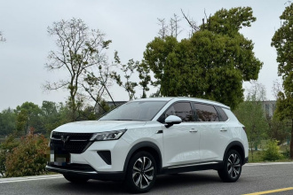 五菱汽车 五菱星辰 2022款 2.0L DHT电劲款