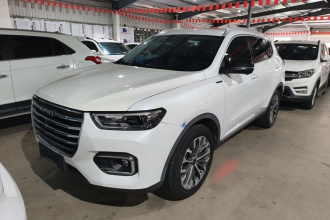 哈弗H6 2020款 1.5GDIT 自动铂金冠军版