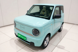 吉利银河 2023款 熊猫mini 200km 耐力熊