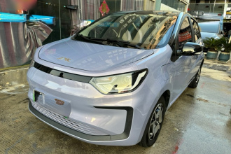 江淮钇为 钇为花仙子 2024款 挚爱版 301km Lite