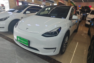 特斯拉 Model Y 2023款 长续航全轮驱动版
