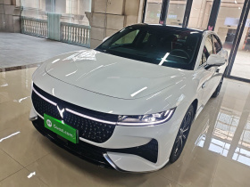 岚图汽车 岚图追光 2024款 PHEV 四驱超长续航行政版