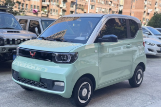 五菱汽车 宏光MINIEV 2021款 马卡龙臻享款 三元锂