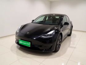 特斯拉 Model 3 2022款 后轮驱动版