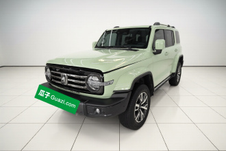 坦克300 2021款 城市版 2.0T 很有型
