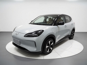 五菱汽车 五菱缤果PLUS 2024款 401km 五座版